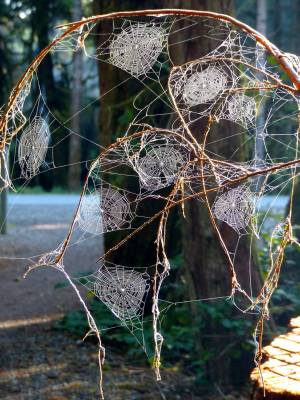 22424383_10155761304659293_4787701593613505208_o